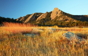 Colorado Office Photo 300x190px